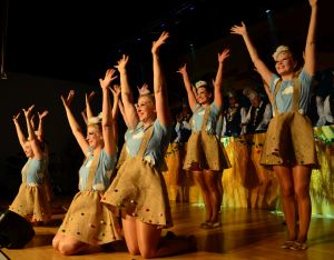 senatorensitzung2025c